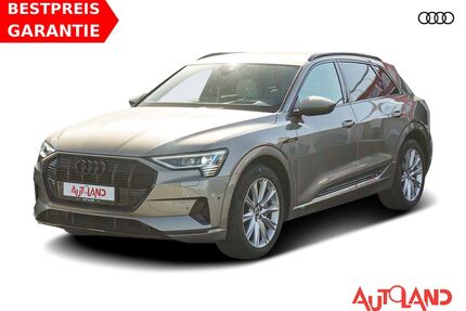 Audi e-tron Gebrauchtwagen