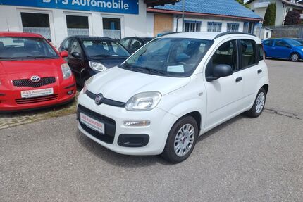 Fiat Panda Gebrauchtwagen
