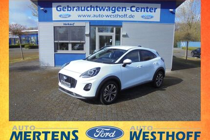 Ford Puma Gebrauchtwagen
