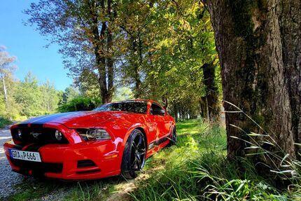 Ford Mustang Gebrauchtwagen