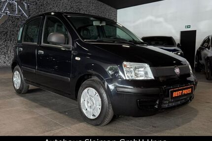Fiat Panda Gebrauchtwagen