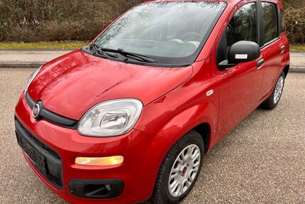 Fiat Panda Gebrauchtwagen