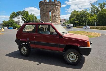 Fiat Panda Gebrauchtwagen