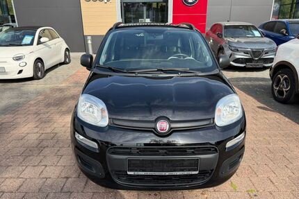 Fiat Panda Gebrauchtwagen