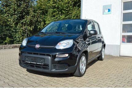 Fiat Panda Gebrauchtwagen