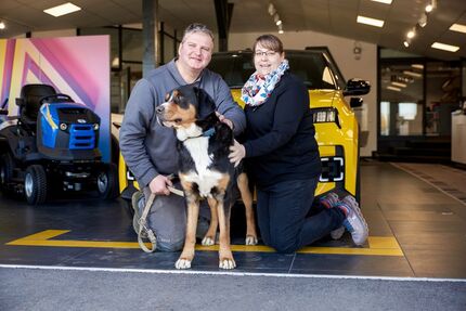 Renault Scenic E-TECH Gebrauchtwagen