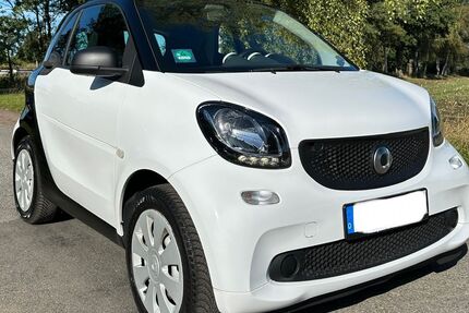 Smart ForTwo Gebrauchtwagen