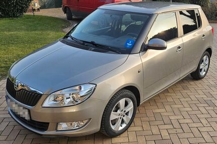 Skoda Fabia Gebrauchtwagen