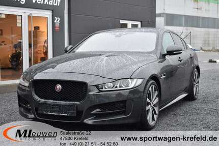 Jaguar XE Gebrauchtwagen