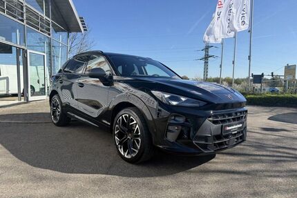 Cupra Terramar Gebrauchtwagen