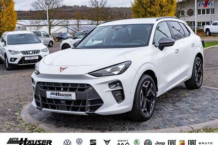 Cupra Terramar Gebrauchtwagen