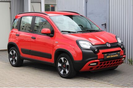 Fiat Panda Gebrauchtwagen