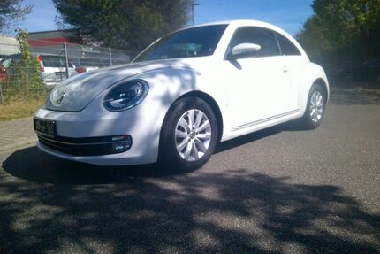 VW Beetle Gebrauchtwagen