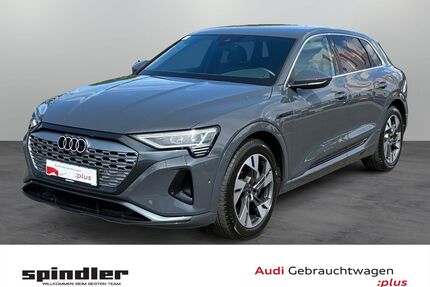 Audi Q8 e-tron Gebrauchtwagen