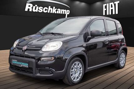 Fiat Panda Gebrauchtwagen
