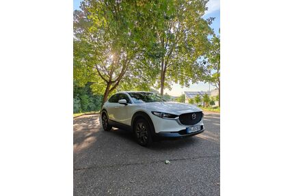 Mazda CX-30 Gebrauchtwagen