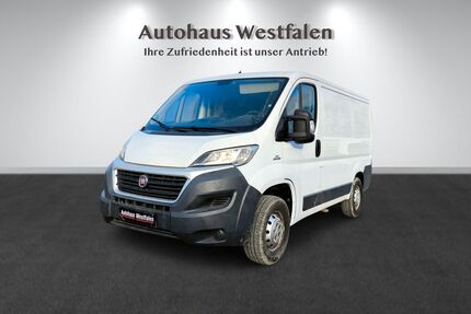 Fiat Ducato Gebrauchtwagen