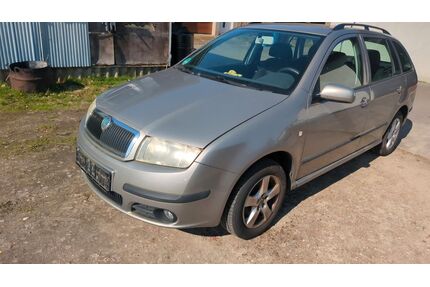 Skoda Fabia Gebrauchtwagen
