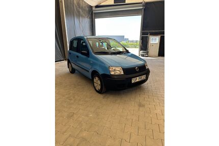 Fiat Panda Gebrauchtwagen