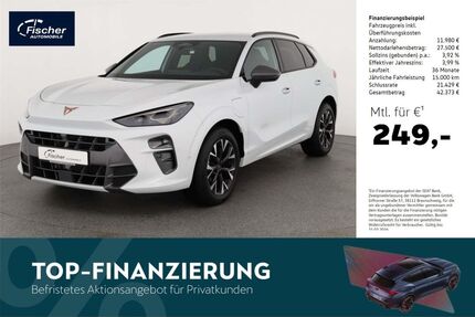 Cupra Terramar Gebrauchtwagen