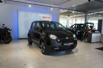 Fiat Panda Gebrauchtwagen