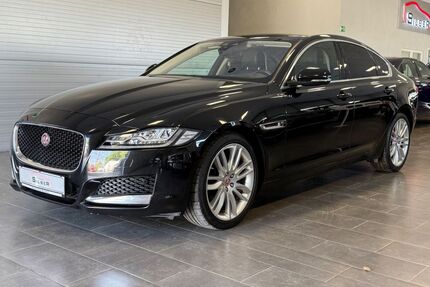 Jaguar XF Gebrauchtwagen