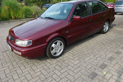 VW Passat Gebrauchtwagen