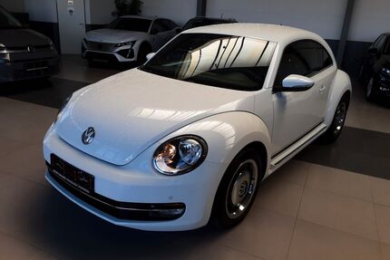 VW Beetle Gebrauchtwagen