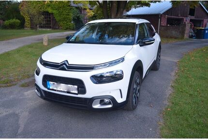 Citroen C4 Cactus Gebrauchtwagen