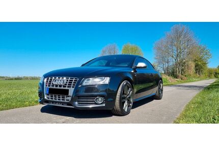 Audi S5 Gebrauchtwagen