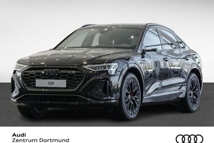 Audi Q8 e-tron Gebrauchtwagen