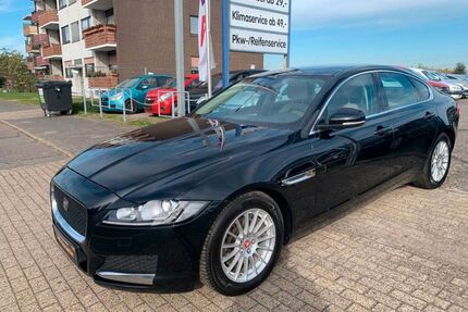 Jaguar XF Gebrauchtwagen