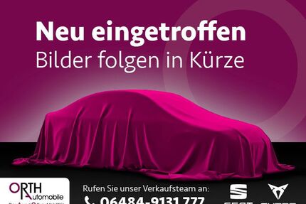 Cupra Terramar Gebrauchtwagen