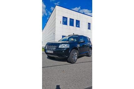 Land Rover Freelander Gebrauchtwagen