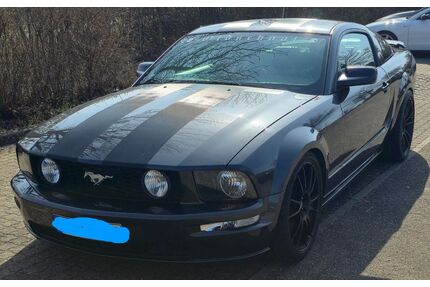 Ford Mustang Gebrauchtwagen