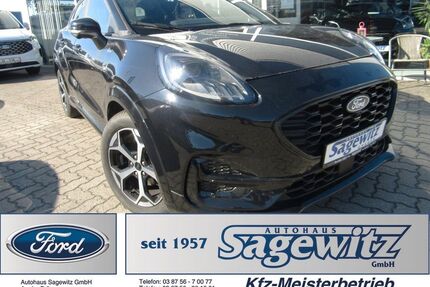Ford Puma Gebrauchtwagen