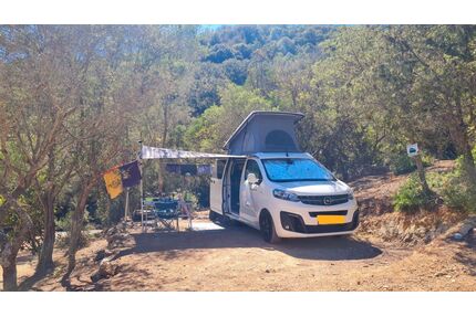 Opel Zafira Life Gebrauchtwagen