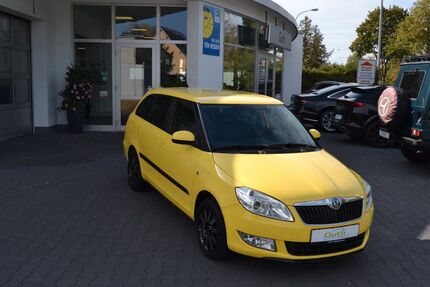 Skoda Fabia Gebrauchtwagen