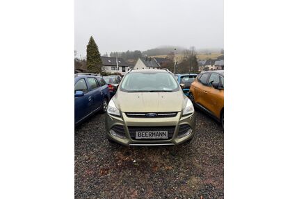 Ford Kuga Gebrauchtwagen