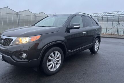 Kia Sorento Gebrauchtwagen