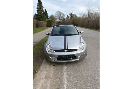 Ford Streetka Gebrauchtwagen