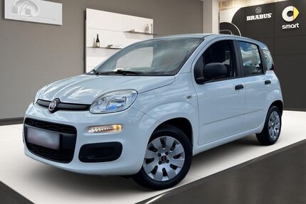 Fiat Panda Gebrauchtwagen