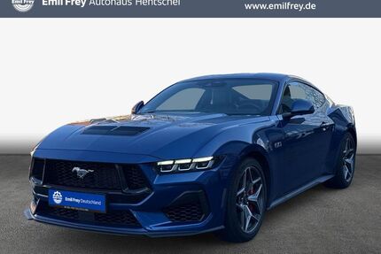 Ford Mustang Gebrauchtwagen