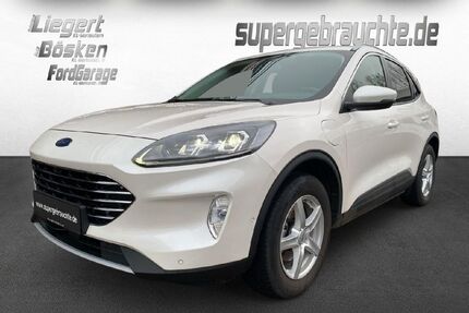Ford Kuga Gebrauchtwagen