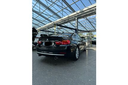 BMW 435 Gebrauchtwagen