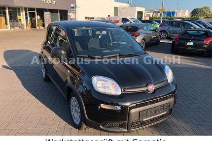 Fiat Panda Gebrauchtwagen