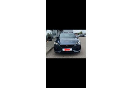 Cupra Leon Gebrauchtwagen