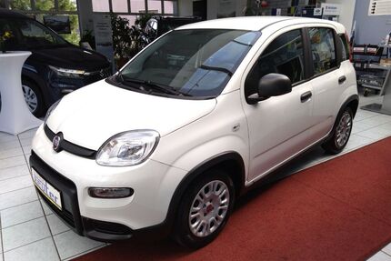 Fiat Panda Gebrauchtwagen