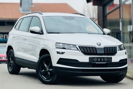 Skoda Karoq Gebrauchtwagen