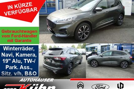 Ford Kuga Gebrauchtwagen